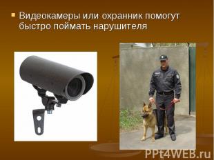 Видеокамеры или охранник помогут быстро поймать нарушителя