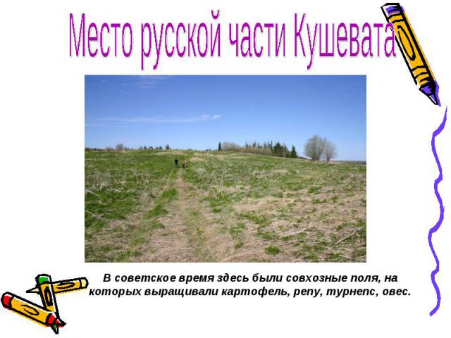 Место русской части Кушевата В советское время здесь были совхозные поля, на которых выращивали картофель, репу, турнепс, овес.