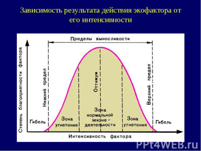 Зависимость результата действия экофактора от его интенсивности