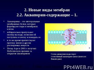 2. Новые виды мембран2.2. Аквапорин-содержащие – 1. Аквапорины – это интегральны
