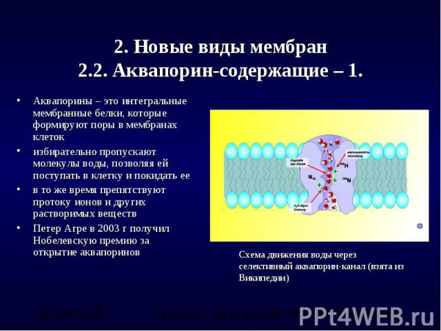 2. Новые виды мембран2.2. Аквапорин-содержащие – 1. Аквапорины – это интегральные мембранные белки, которые формируют поры в мембранах клетокизбирательно пропускают молекулы воды, позволяя ей поступать в клетку и покидать еев то же время препятствую…