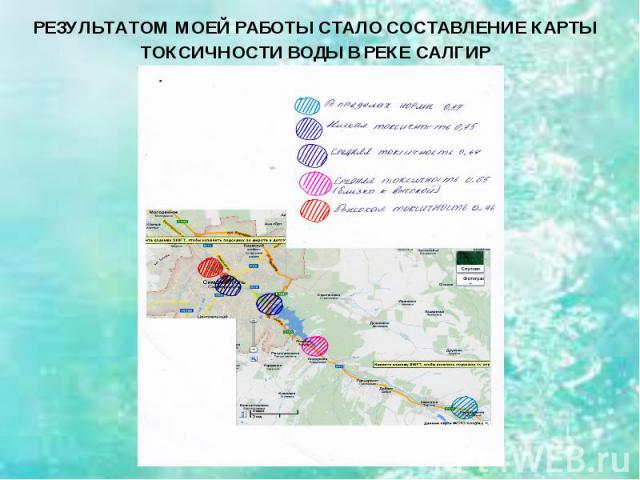 РЕЗУЛЬТАТОМ МОЕЙ РАБОТЫ СТАЛО СОСТАВЛЕНИЕ КАРТЫ ТОКСИЧНОСТИ ВОДЫ В РЕКЕ САЛГИР