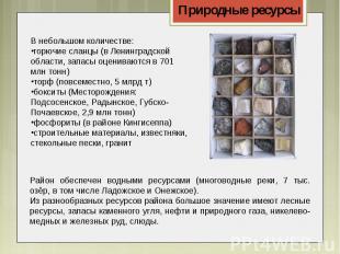 В небольшом количестве:горючие сланцы (в Ленинградской области, запасы оценивают