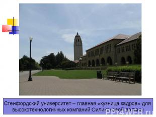 Стенфордский университет – главная «кузница кадров» для высокотехнологичных комп