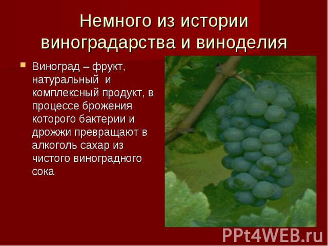 Немного из истории виноградарства и виноделия Виноград – фрукт, натуральный и комплексный продукт, в процессе брожения которого бактерии и дрожжи превращают в алкоголь сахар из чистого виноградного сока