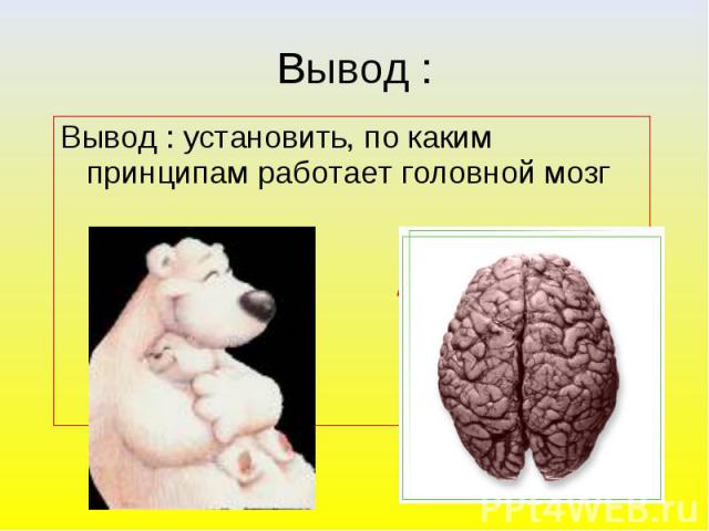 Вывод : установить, по каким принципам работает головной мозг ?