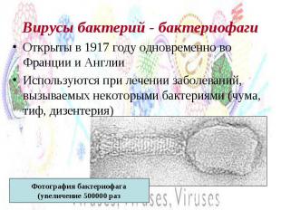 Вирусы бактерий - бактериофаги Открыты в 1917 году одновременно во Франции и Анг