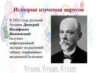 История изучения вирусов В 1852 году русский ботаник Дмитрий Иосифович Ивановски