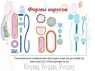 Формы вирусов Схематическое изображение некоторых вирусов растений (a), животных
