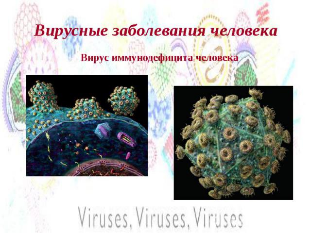 Вирусные заболевания человека Вирус иммунодефицита человека