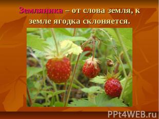 Земляника – от слова земля, к земле ягодка склоняется.