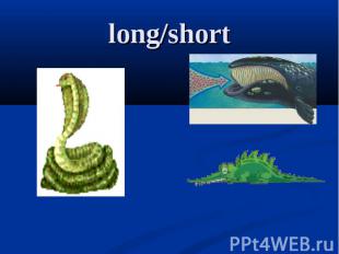 long/short