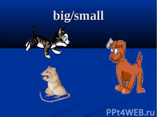 big/small