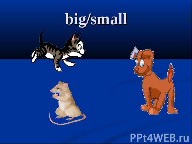big/small