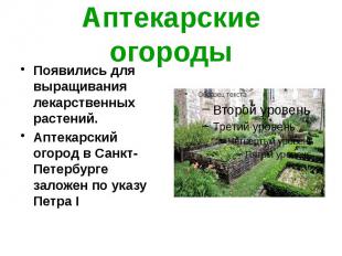 Аптекарские огороды Появились для выращивания лекарственных растений. Аптекарски