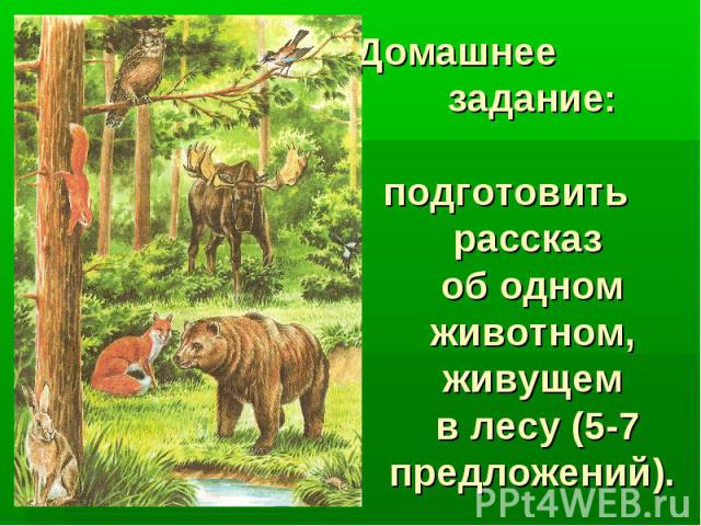 Домашнее задание:подготовить рассказ об одном животном, живущем в лесу (5-7 предложений).
