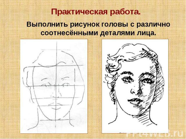 Практическая работа. Выполнить рисунок головы с различно соотнесёнными деталями лица.