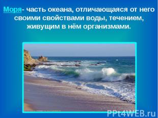 Моря- часть океана, отличающаяся от него своими свойствами воды, течением, живущ