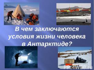 В чем заключаются условия жизни человека в Антарктиде?