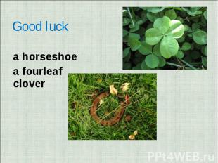 Good luck a horseshoea fourleaf clover