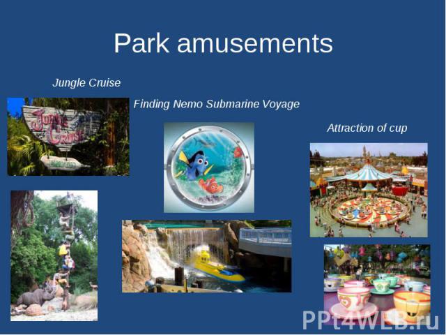 Park amusements