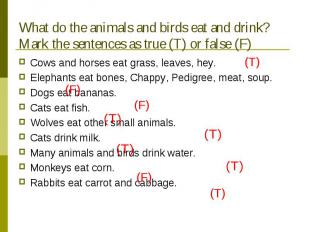 What do the animals and birds eat and drink? Mark the sentences as true (T) or f