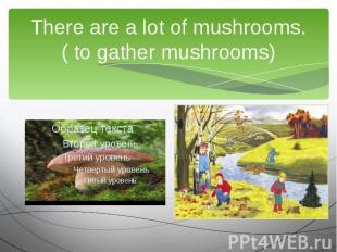 There are a lot of mushrooms.( to gather mushrooms)We are going to …
