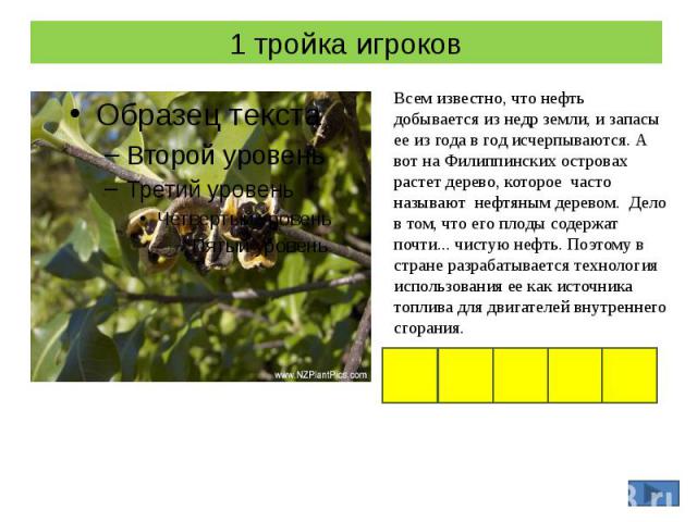 1 тройка игроков Всем известно, что нефть добывается из недр земли, и запасы ее из года в год исчерпываются. А вот на Филиппинских островах растет дерево, которое часто называют нефтяным деревом. Дело в том, что его плоды содержат почти... чистую не…