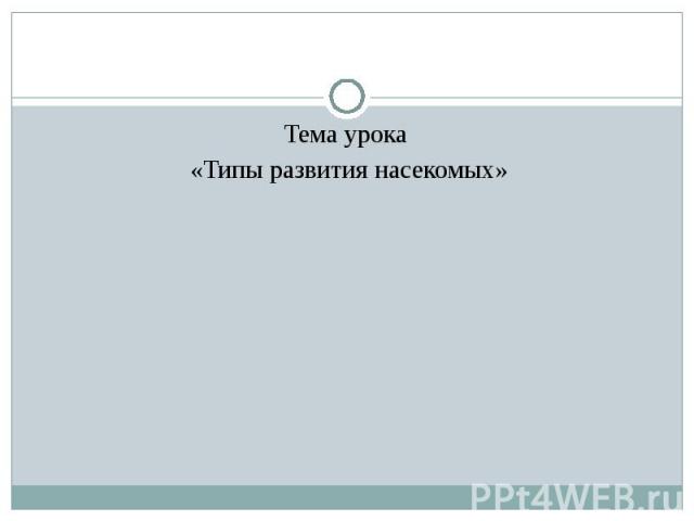 Тема урока «Типы развития насекомых»