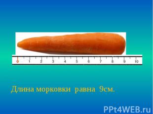 Длина морковки равна 9см.