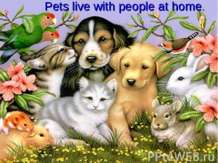 Pets live with people at home.