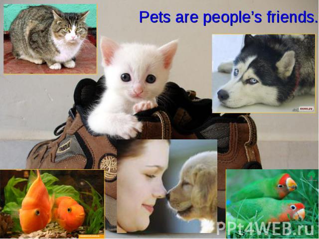 Pets are people’s friends.