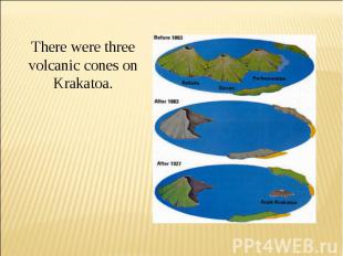 There were three volcanic cones on Krakatoa.