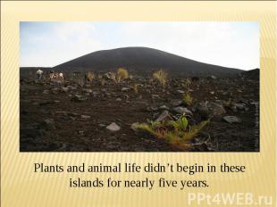 Plants and animal life didn’t begin in these islands for nearly five years.