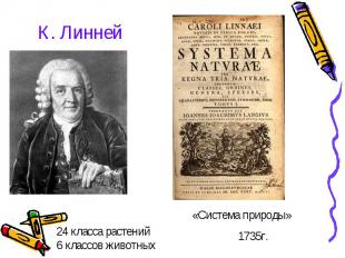 К. Линней 24 класса растений6 классов животных «Система природы» 1735г.