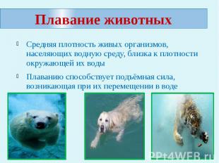 Плавание животных Средняя плотность живых организмов, населяющих водную среду, б