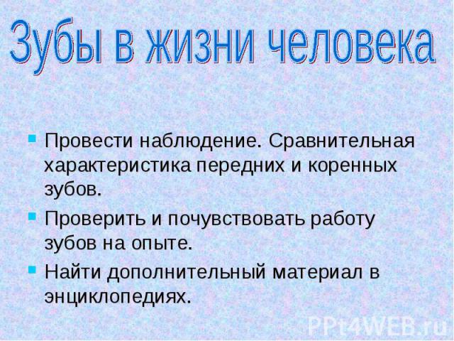 Зубы в жизни человека Провести наблюдение. Сравнительная характеристика передних и коренных зубов.Проверить и почувствовать работу зубов на опыте.Найти дополнительный материал в энциклопедиях.