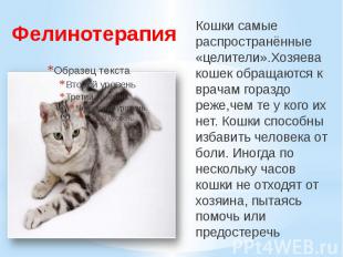 Фелинотерапия Кошки самые распространённые «целители».Хозяева кошек обращаются к