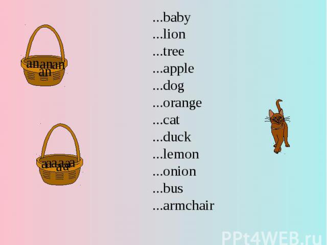 ...baby...lion...tree...apple...dog...orange...cat...duck...lemon...onion...bus...armchair