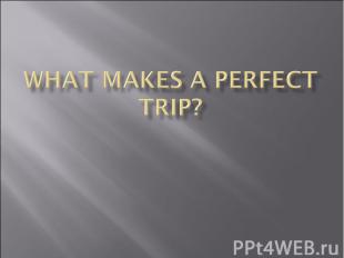 What makes a perfect trip?