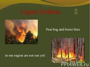 Urgent Problem Peat bog and forest fires in our region are not out yet!