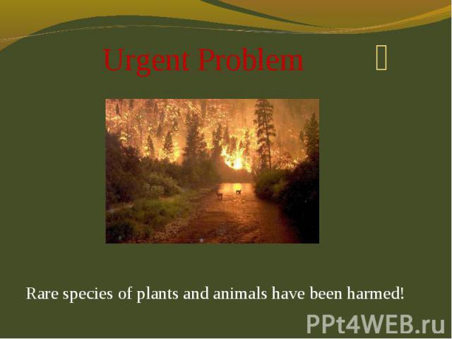 Urgent Problem Rare species of plants and animals have been harmed!
