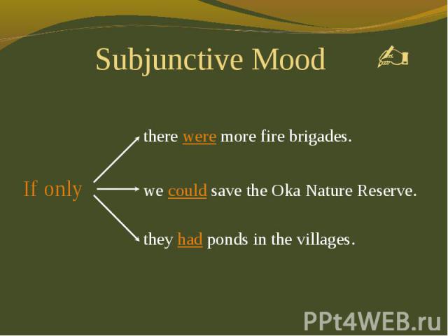 Subjunctive Mood there were more fire brigades. we could save the Oka Nature Reserve. they had ponds in the villages.