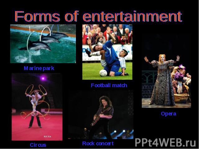Forms of entertainment Marine park Football match Opera Circus Rock concert