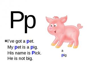 I’ve got a pet.My pet is a pig.His name is Pick.He is not big.