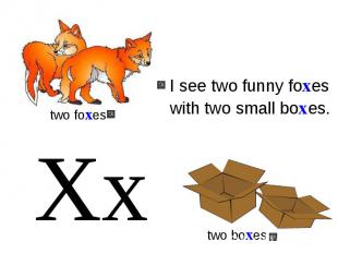 I see two funny foxes with two small boxes.