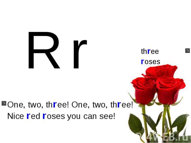 One, two, three! One, two, three!Nice red roses you can see!
