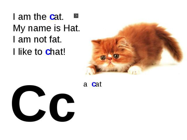I am the cat.My name is Hat.I am not fat.I like to chat!