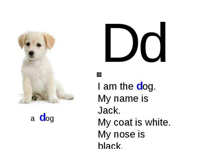 I am the dog.My name is Jack.My coat is white.My nose is black.