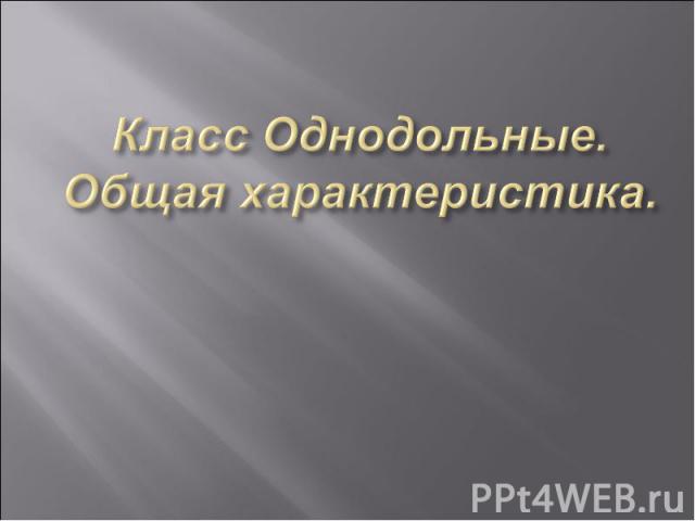 Класс Однодольные. Общая характеристика